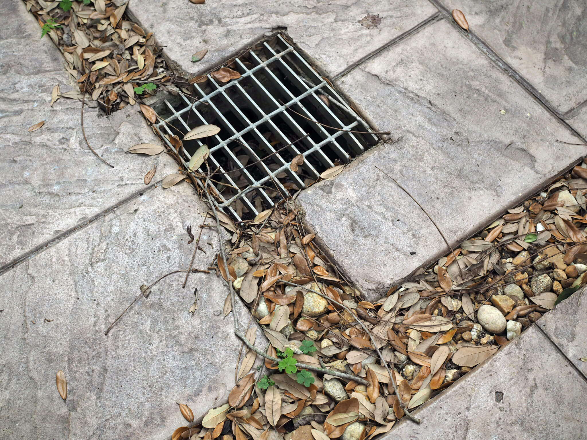 Clean Out a Yard Drain in 5 Easy Steps