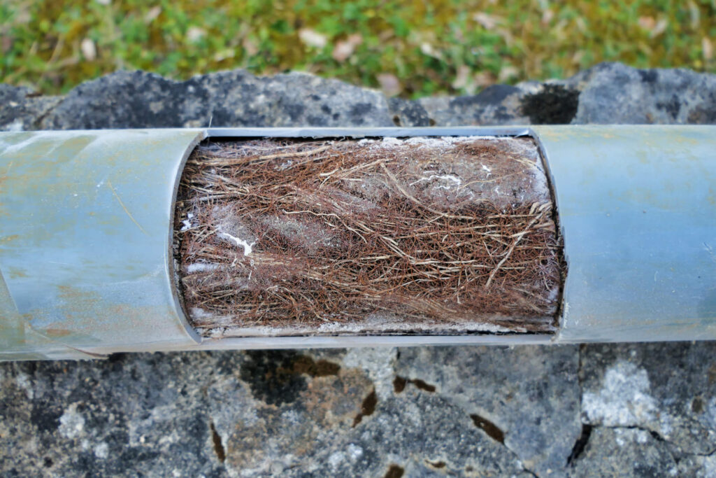 Tree Roots and Scale Buildup: Specialized Sewer Pipe Unclogging Solutions in Honolulu, Kapolei, Kailua & Entire Oahu Island, HI